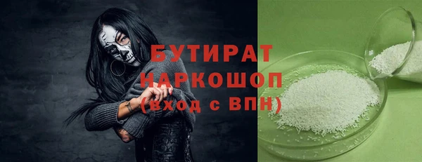 сатива Беломорск