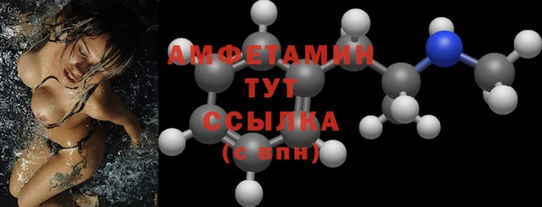 сатива Беломорск