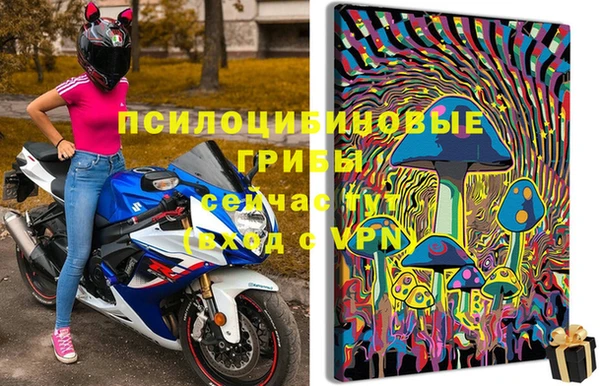 ешки Белокуриха