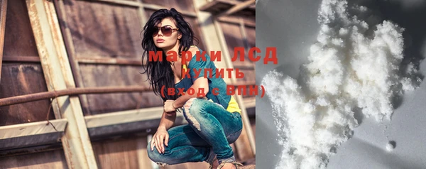 сатива Беломорск